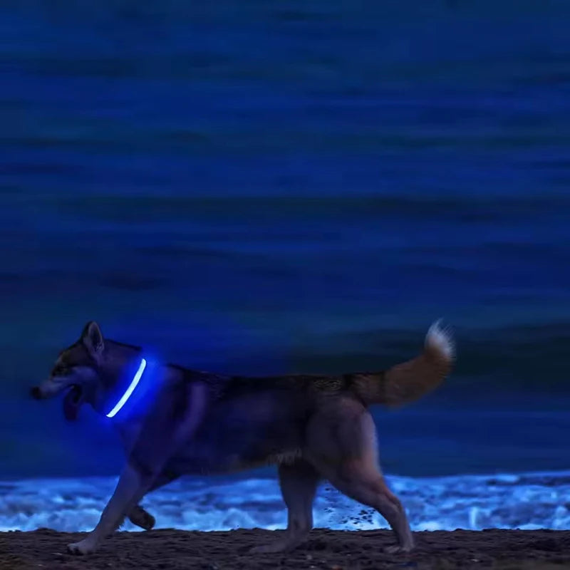 LED Pet Dog Collar