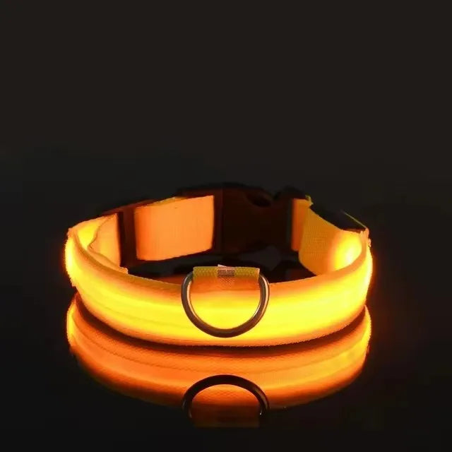 LED Pet Dog Collar
