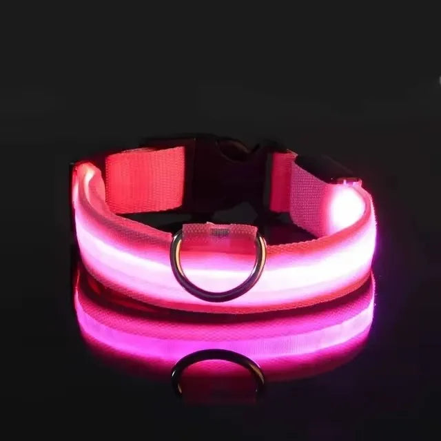 LED Pet Dog Collar