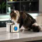 Stainless Steel Pet Water Fountain