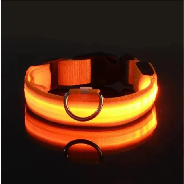 LED Pet Dog Collar