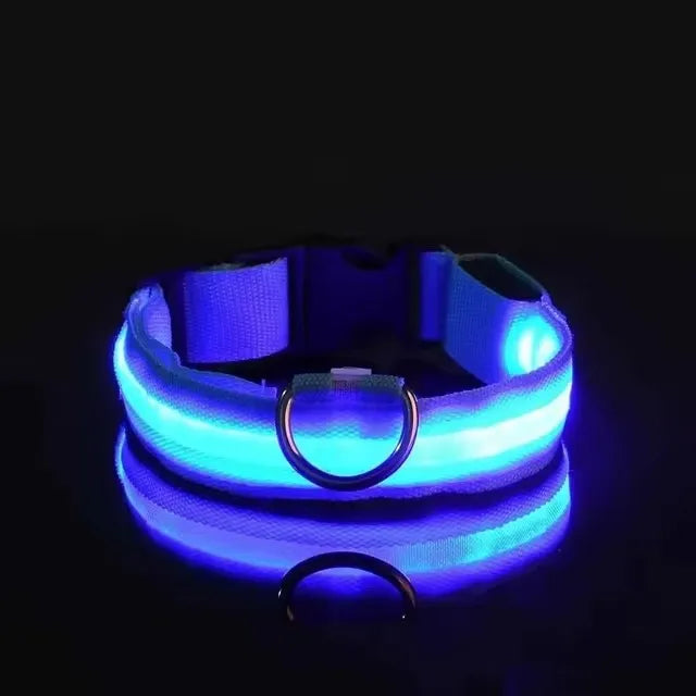 LED Pet Dog Collar