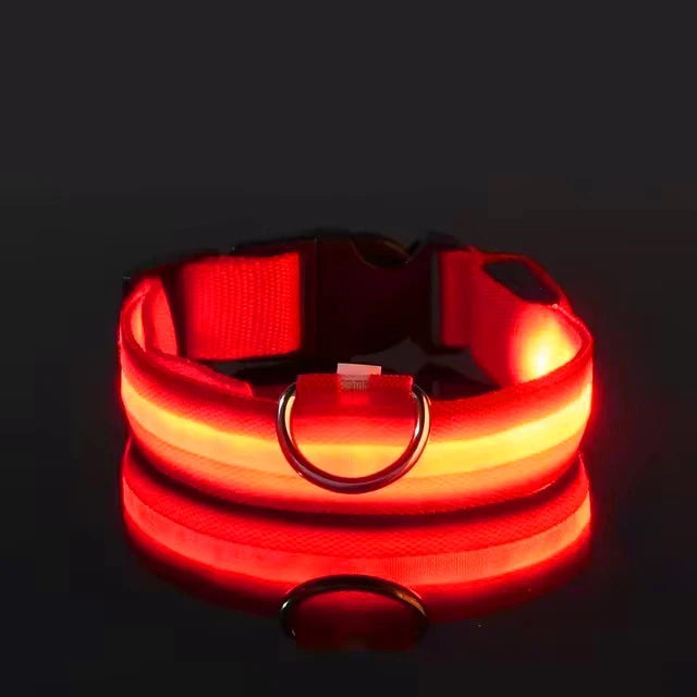LED Pet Dog Collar
