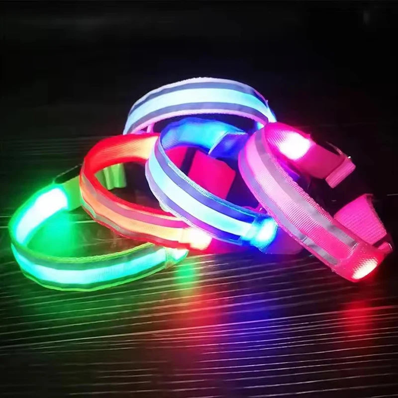 LED Pet Dog Collar