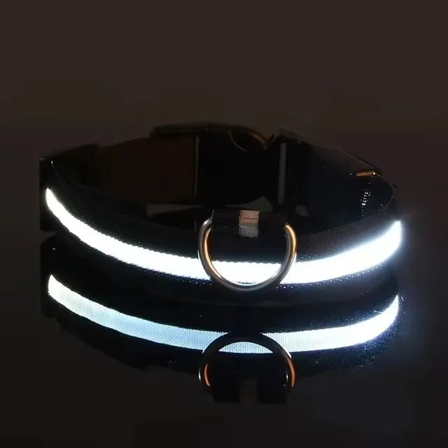 LED Pet Dog Collar